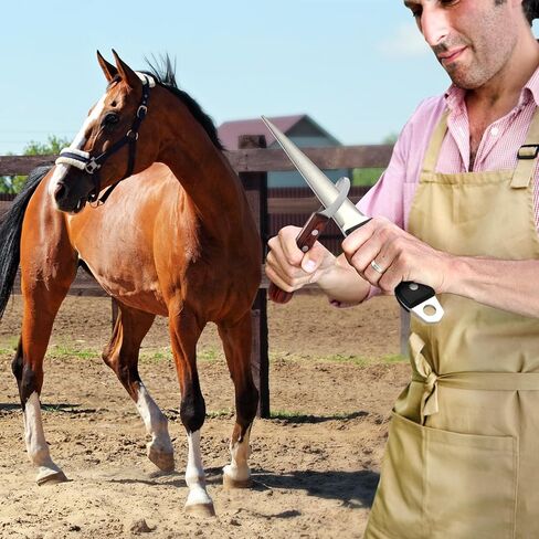 مبراة سكاكين الحافر، أداة أبعد 10 بوصة، قضيب شحذ مع مقبض خشبي صلب مريح احترافي لسكاكين الحافر ومعظم أنواع سكاكين المزرعة in Kuwait