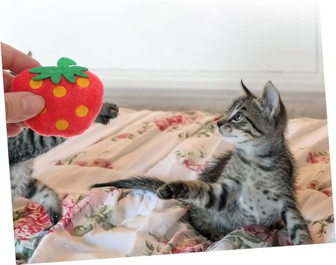 10pcs Plush Strawberry Cat Chew Toys for Play and Chewing Adorable Pet Plush Dolls Home Decor for Cats Fun and Engaging Fruit Toys in Saudi Arabia