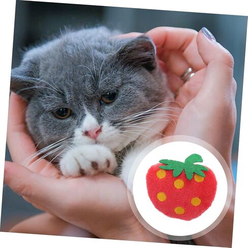 10pcs Plush Strawberry Cat Chew Toys for Play and Chewing Adorable Pet Plush Dolls Home Decor for Cats Fun and Engaging Fruit Toys in Saudi Arabia