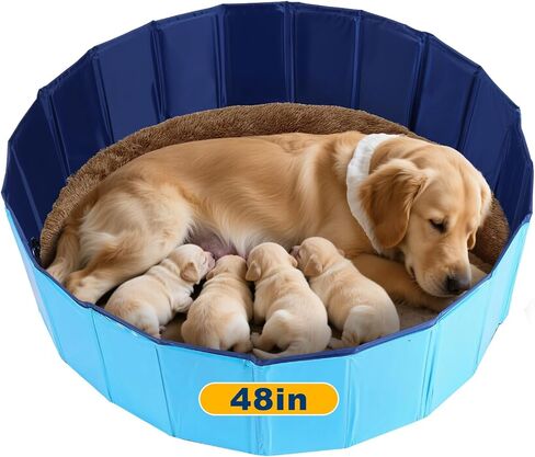 Whelping Pen for Dogs, Foldable Birthing Pool for Dogs, Whelping Box for Dogs and Puppies, Poartable Plastic Swimming Pool & Bath Tub (Blue) (47.2" Dia. × 11.8"H (120cm × 30cm)) in Kuwait