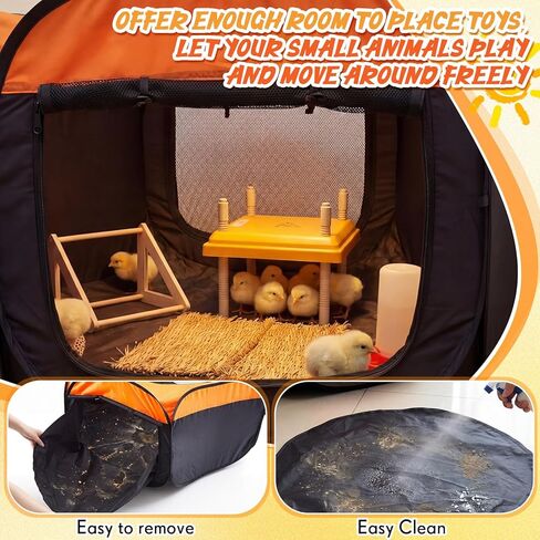 صندوق حضانة لمجموعة أدوات الدجاج المبتدئة، قلم حضانة دجاج بباب مزدوج / روضة أطفال / خيمة مع لوحة تسخين 10 × 10 بوصة، وسادة تعشيش، وحدة تغذية الكتاكيت والماء، جثم الفرخ حتى 15 كتكوت، بطة، سمان in Kuwait