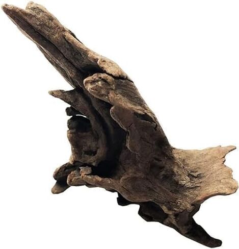 Natural Driftwood Tree Decoration for Aquarium, Fish Tank Plant Stump Ornament, Random Style(5-10cm) in Saudi Arabia