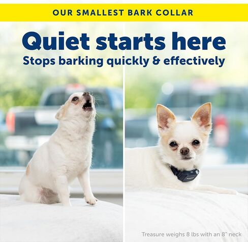 PetSafe NanoBark 2.0 Bark Collar for Small Dogs - Lightweight, Adjustable Dog Collar - Smart Bark Detection - Auto-Adjusting Static Correction - Waterproof & Rechargeable - 4–15" in Saudi Arabia