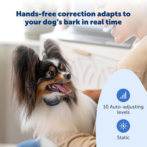 PetSafe NanoBark 2.0 Bark Collar for Small Dogs - Lightweight, Adjustable Dog Collar - Smart Bark Detection - Auto-Adjusting Static Correction - Waterproof & Rechargeable - 4–15" in Saudi Arabia