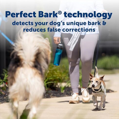PetSafe NanoBark 2.0 Bark Collar for Small Dogs - Lightweight, Adjustable Dog Collar - Smart Bark Detection - Auto-Adjusting Static Correction - Waterproof & Rechargeable - 4–15" in Saudi Arabia
