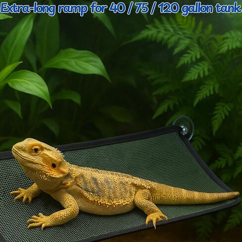 Bearded Dragon Hammock Large Tank Bed, Mesh Lounger with Suction Cups & Cable Ties, Reptile Basking Ramp/Bed, Fits Bearded Dragons & Leopard Geckos (Rectangle, 28" x 10") in Saudi Arabia