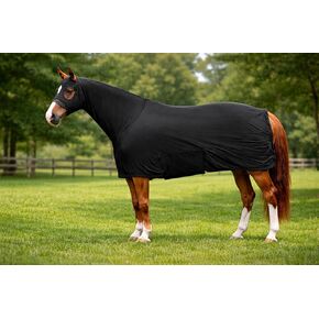 ملاءة حصان لكامل الجسم من Majestic Ally مع غطاء للرقبة، ألياف لدنة مطاطية في 4 اتجاهات، ألوان متعددة، صغيرة إلى كبيرة جدًا (أسود، متوسط) in Kuwait