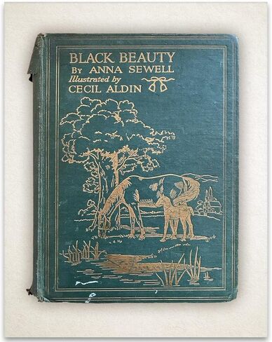 Black Beauty Book Cover - 11x14 Unframed Print, Vintage Children's Classic Book, Book Cover Literary Decoration, School and Library Decor and Great Gift for Book Lovers in Saudi Arabia