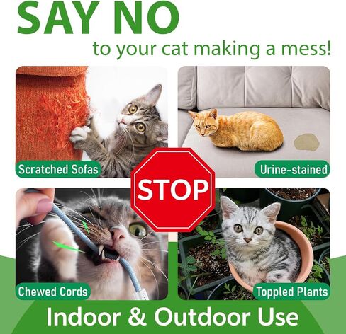 كرات طبيعية طاردة للقطط (12 عبوة) - للاستخدام الداخلي والخارجي، رادع للقطط في الهواء الطلق لإبعاد القطط، إبقاء القطط خارج الفناء بشكل دائم، طارد للزيوت العطرية، يحمي الأثاث من الخدش in Kuwait