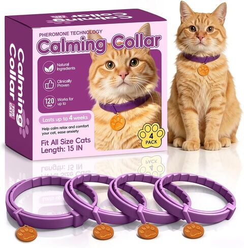 Calming Collars for Cats, 4 Packs Adjustable Calming Cat Collar with Pheromone Scent, with Yellow Gold Pendants, 120 Days Calm Relief for Anxious Cats, 15 Inch, Purple in Kuwait