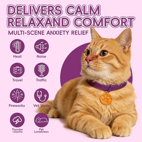 Calming Collars for Cats, 4 Packs Adjustable Calming Cat Collar with Pheromone Scent, with Yellow Gold Pendants, 120 Days Calm Relief for Anxious Cats, 15 Inch, Purple in Kuwait