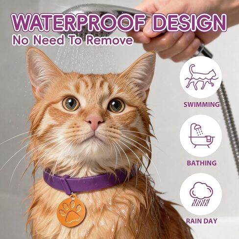 Calming Collars for Cats, 4 Packs Adjustable Calming Cat Collar with Pheromone Scent, with Yellow Gold Pendants, 120 Days Calm Relief for Anxious Cats, 15 Inch, Purple in Kuwait