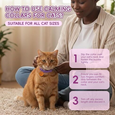 Calming Collars for Cats, 4 Packs Adjustable Calming Cat Collar with Pheromone Scent, with Yellow Gold Pendants, 120 Days Calm Relief for Anxious Cats, 15 Inch, Purple in Kuwait