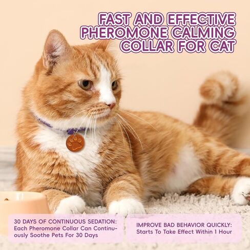Calming Collars for Cats, 4 Packs Adjustable Calming Cat Collar with Pheromone Scent, with Yellow Gold Pendants, 120 Days Calm Relief for Anxious Cats, 15 Inch, Purple in Kuwait