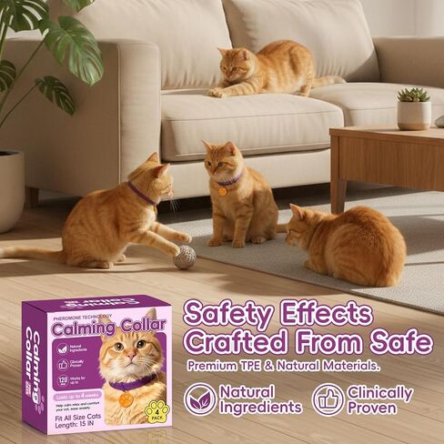 Calming Collars for Cats, 4 Packs Adjustable Calming Cat Collar with Pheromone Scent, with Yellow Gold Pendants, 120 Days Calm Relief for Anxious Cats, 15 Inch, Purple in Kuwait
