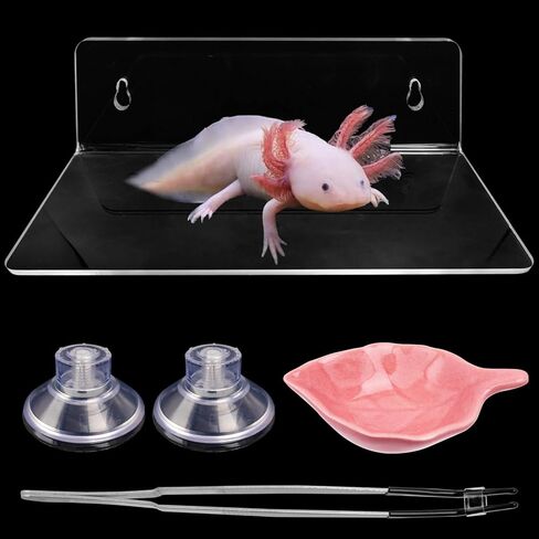 Axolotl Hammock Ledge for Aquarium with Feeding Dish Ceramic Tray Suction Cup and Feeding Tweezer Axolotl & Bearded Dragon Aquarium Accessories Kit (7.8 x 3.9in) in Saudi Arabia