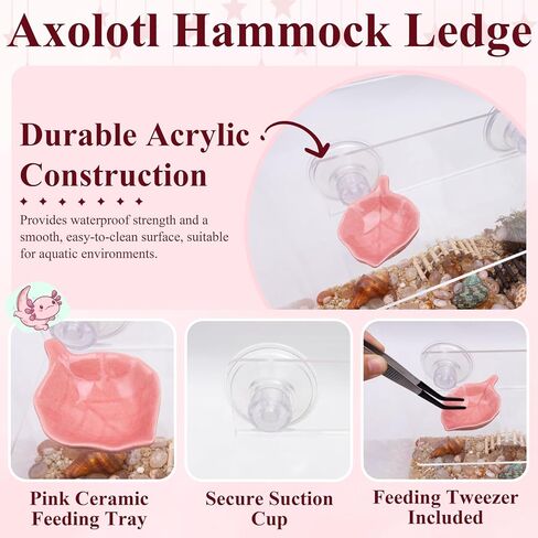 Axolotl Hammock Ledge for Aquarium with Feeding Dish Ceramic Tray Suction Cup and Feeding Tweezer Axolotl & Bearded Dragon Aquarium Accessories Kit (7.8 x 3.9in) in Saudi Arabia