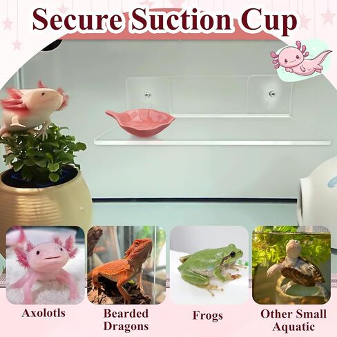 Axolotl Hammock Ledge for Aquarium with Feeding Dish Ceramic Tray Suction Cup and Feeding Tweezer Axolotl & Bearded Dragon Aquarium Accessories Kit (7.8 x 3.9in) in Saudi Arabia