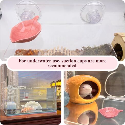 Axolotl Hammock Ledge for Aquarium with Feeding Dish Ceramic Tray Suction Cup and Feeding Tweezer Axolotl & Bearded Dragon Aquarium Accessories Kit (7.8 x 3.9in) in Saudi Arabia