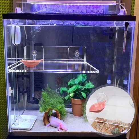 Axolotl Hammock Ledge for Aquarium with Feeding Dish Ceramic Tray Suction Cup and Feeding Tweezer Axolotl & Bearded Dragon Aquarium Accessories Kit (7.8 x 3.9in) in Saudi Arabia