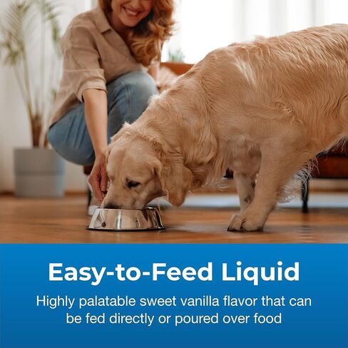 PetAg Dyne High Calorie Liquid Nutritional Supplement for Dogs & Puppies 8 Weeks and Older - 16 oz - Supports Performance and Endurance - Sweet Vanilla Flavor (Pack of 2) in Saudi Arabia