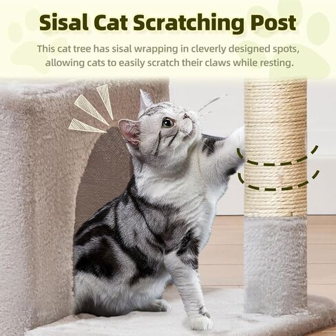 Taoqimiao Cat Tree، برج القطط مقاس 32.2 بوصة للقطط الداخلية، شقة للقطط مع مجثم قطط كبير، كهف واسع للقطط، أعمدة خدش للقطط الصغيرة والمتوسطة، رمادي فاتح MS043W in Saudi Arabia