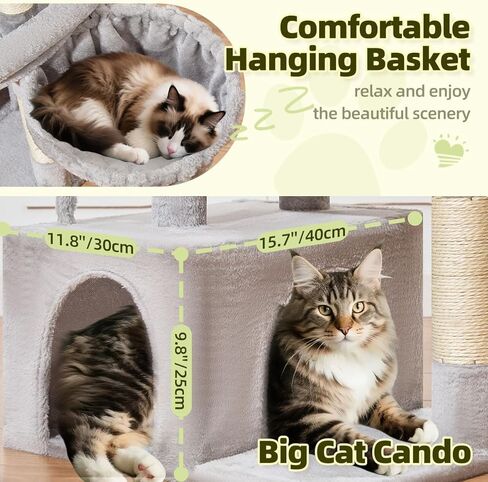 Taoqimiao Cat Tree، برج القطط مقاس 32.2 بوصة للقطط الداخلية، شقة للقطط مع مجثم قطط كبير، كهف واسع للقطط، أعمدة خدش للقطط الصغيرة والمتوسطة، رمادي فاتح MS043W in Saudi Arabia