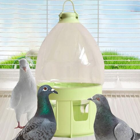Pigeon Water Dispenser Drinker Bottle Automatic Water Pot Container,Bird Drinker,for Budgie Chicken Parrots Duck Hamster, 6L in Saudi Arabia