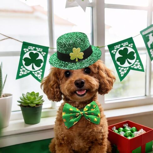 3 PCS Dog St Patricks Day Outfit Leprechaun Costume,St. Patrick's Dog Clothes,Green Shamrock Dogs Tall Hat,Sunglasses, Bow Tie,Irish for Small Medium Large Dogs Cats Dress Party Outfits in Saudi Arabia