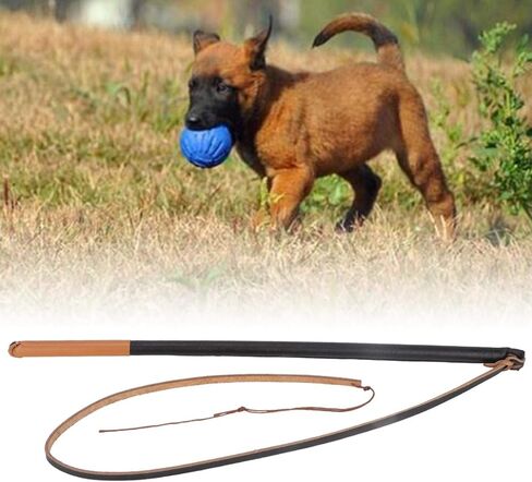 EVTSCAN Dog Training Whip Leather, Interactive Toy, Protect Pet Leashes for Medium Large Dog, Dog Exercise Equipment in Saudi Arabia