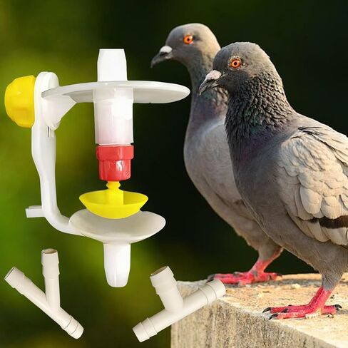 Bird Water Dispenser - Multifunctional Automatic Pet Waterer - Pigeon Water Bottle - for Macaws Sparrow Parakeet Lovebird Conures Cockatiels Finches Garden Yard Balcony in Kuwait