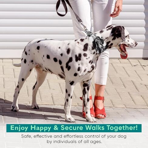 Prong Collar for Dogs - Easy Buckle Prong Collar - 3mm Stainless Steel No Pull Chain Collars - Quick Release Dog Collar - (14 to 20" Neck) Adjustable Dog Training Collars for Large to Medium Size Dogs in Saudi Arabia