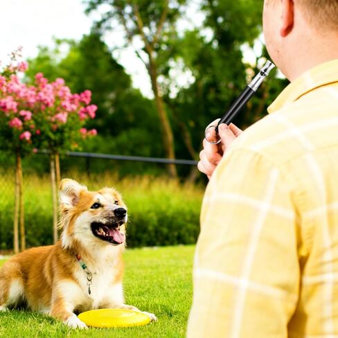 Adjustable Dog Whistle Training Tool with Lanyard Portable Sound Signal Whistle for Daily Walks Outdoor Use Travel(Blue) in Saudi Arabia