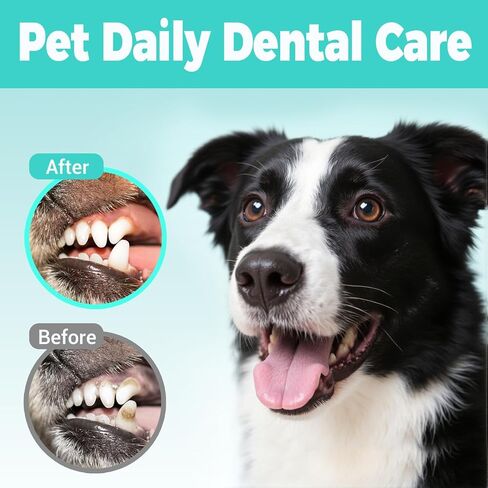 Teeth Cleaning Finger Wipes for Dogs & Cats，Dental Cleaning Wipes for Dogs and Cats，Pet Teeth Cleaning Finger Wipes，Reduces Plaque and Freshens Breath, Removes Tartar, Disposable Wet Wipes 50ct in Saudi Arabia
