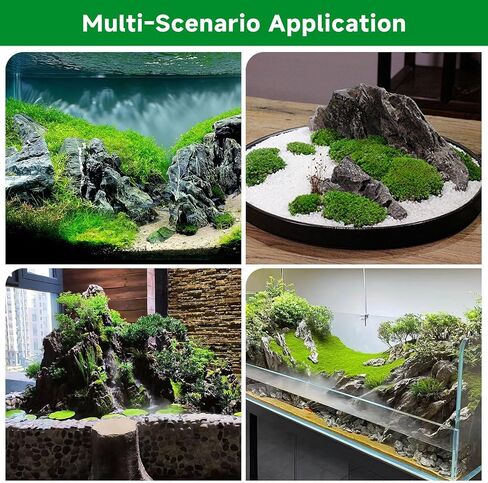 20LB Seiryu Rock Stone for Aquascaping,4-6 inch Natural Aquarium Landscape Stones for Aquariums,Fish Tank Decor Rocks for Landscaping, Paludariums & Micro Landscapes in Saudi Arabia
