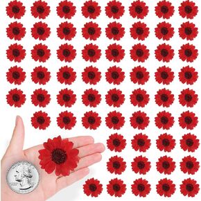 60PCS Natural Small Dried Sunflowers for Resin, Red Real Pressed Sunflower Dry Sunflowers for Crafts DIY Epoxy Resin Mold Jewelry Candle Scrapbooking Card Making Home Wedding Decoration in Saudi Arabia