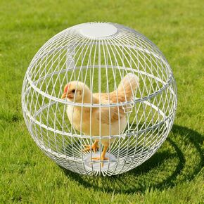 Rolling Small Animal Cage 11.8 inches, Metal Mesh Ball Cage for Hamsters Gerbils and Mice, Portable Indoor and Outdoor Exercise Cage for Supervised Play in Saudi Arabia