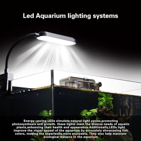 Glass Fish Tank Kit,2.8 Gallon Fish Tank,Small Aquarium, Ultra-Clear Nano Aquarium,Betta Fish Tank,Small Fish Tank,Aquarium Starter kit,Desktop Fish Tank,with Light and Filter in Saudi Arabia