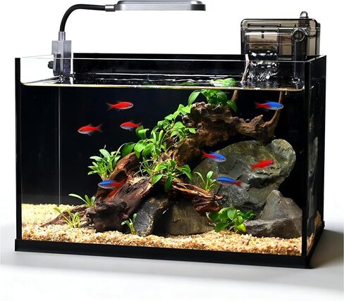 Glass Fish Tank Kit,2.8 Gallon Fish Tank,Small Aquarium, Ultra-Clear Nano Aquarium,Betta Fish Tank,Small Fish Tank,Aquarium Starter kit,Desktop Fish Tank,with Light and Filter in Saudi Arabia