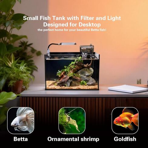 Glass Fish Tank Kit,2.8 Gallon Fish Tank,Small Aquarium, Ultra-Clear Nano Aquarium,Betta Fish Tank,Small Fish Tank,Aquarium Starter kit,Desktop Fish Tank,with Light and Filter in Saudi Arabia