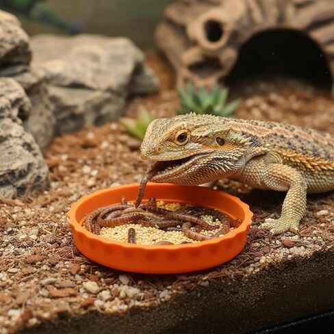 6 Pcs Crested Gecko Food Dish Water Bowl Silicone Reptile Feeding Cups Crested Gecko Tank Accessories for Reptile Tanks Hermit Crab Tortoise Small Pet 6 Colors in Saudi Arabia