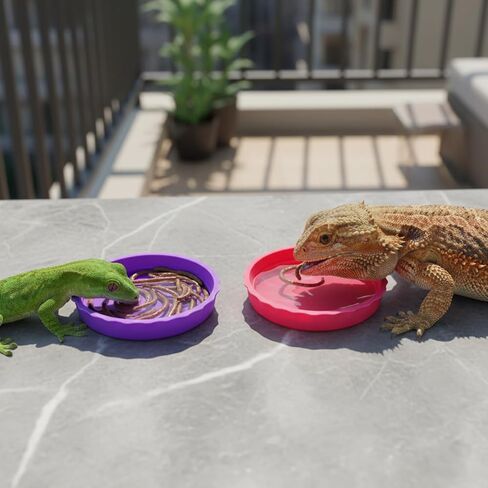 6 Pcs Crested Gecko Food Dish Water Bowl Silicone Reptile Feeding Cups Crested Gecko Tank Accessories for Reptile Tanks Hermit Crab Tortoise Small Pet 6 Colors in Saudi Arabia