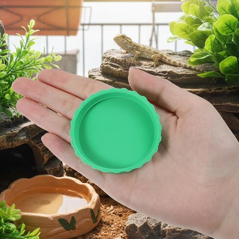 6 Pcs Crested Gecko Food Dish Water Bowl Silicone Reptile Feeding Cups Crested Gecko Tank Accessories for Reptile Tanks Hermit Crab Tortoise Small Pet 6 Colors in Saudi Arabia