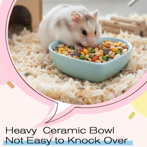 2 PCS Hamster Ceramic Food Bowl, Anti-Turning Heart Hamsters Food Water Dish, Ceramic Pet Bowls for Guinea Pig Gerbil Hedgehog Rat Rodent Bunny Parrots (Green, Blue) in Saudi Arabia