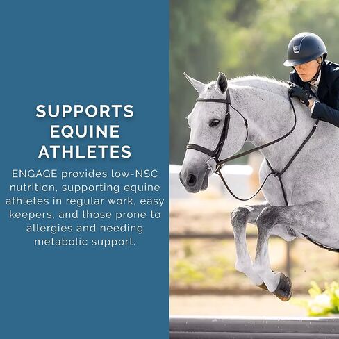 PRO Series Engage Cool Calorie Base Equine Feed, 40lbs - with PROeq for Joint, Gut, Brain & Body Health - Ideal for Easy Keepers - Low NSC, USDA Organic & Alfalfa-Free in Saudi Arabia