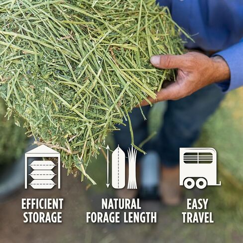 standlee Organic Alfalfa Grab & Go Compressed Hay Bale, Organic Alfalfa for Horses & Livestock, 50 lbs in Kuwait