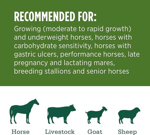 standlee Organic Alfalfa Grab & Go Compressed Hay Bale, Organic Alfalfa for Horses & Livestock, 50 lbs in Kuwait
