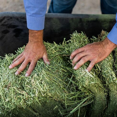 standlee Organic Alfalfa Grab & Go Compressed Hay Bale, Organic Alfalfa for Horses & Livestock, 50 lbs in Kuwait