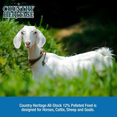 Country Heritage All Stock 12% Protein Textured Feed Multipurpose Diet for Horses, Cattle, Sheep and Goats 50 Pounds in Kuwait