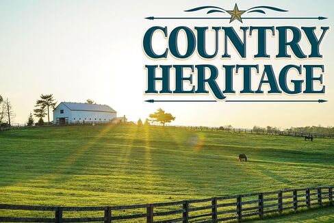 Country Heritage All Stock 12% Protein Textured Feed Multipurpose Diet for Horses, Cattle, Sheep and Goats 50 Pounds in Kuwait